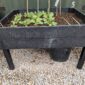 planter 3
